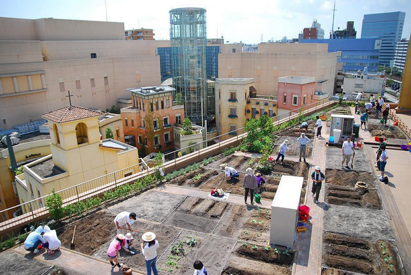 agricultura urbana