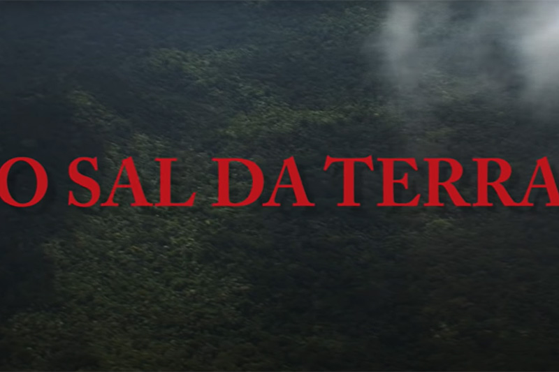 filmes sobre meio ambiente