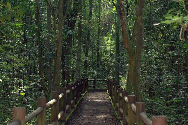 reservas ecológicas