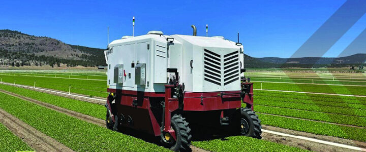 Sem agrotóxicos: robô utiliza inteligência artificial e laser para combater ervas daninhas