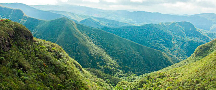 Mata atlântica: saiba tudo sobre esse importante bioma Mata atlântica: saiba tudo sobre esse importante bioma