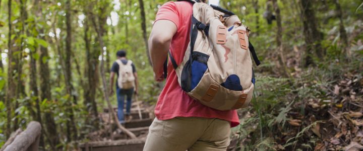 Ministério do Turismo promove chamada pública para projetos sustentáveis no setor Ministério do Turismo promove chamada pública para projetos sustentáveis no setor
