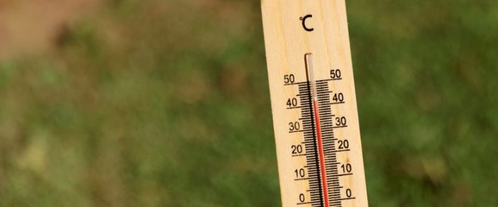 Calor intenso: o que provoca esse fenômeno e quais são seus prejuízos Calor intenso: o que provoca esse fenômeno e quais são seus prejuízos