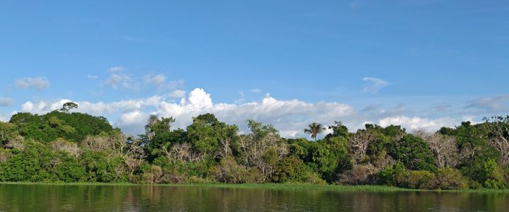 Como se reconectar com a natureza: dicas de atividades e hábitos