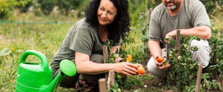A importância da agroindústria familiar para a economia, o meio ambiente e a sociedade